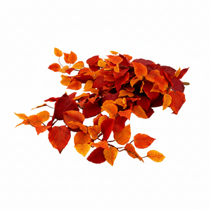 34" Aspen Flame Leaf Bush