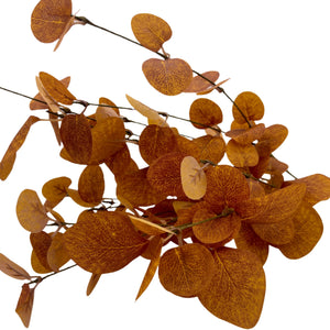 21" Orange Eucalyptus Bush
