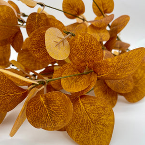21" Orange Eucalyptus Bush
