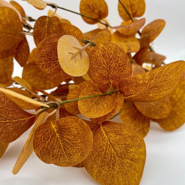 21" Orange Eucalyptus Bush