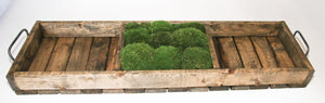 34.5” One Compartment Moss Walnut Tray