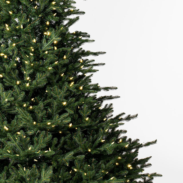 Bellevue Fraser Fir Artificial Christmas Tree with Warm White Mini Lights 7.5' x 68"