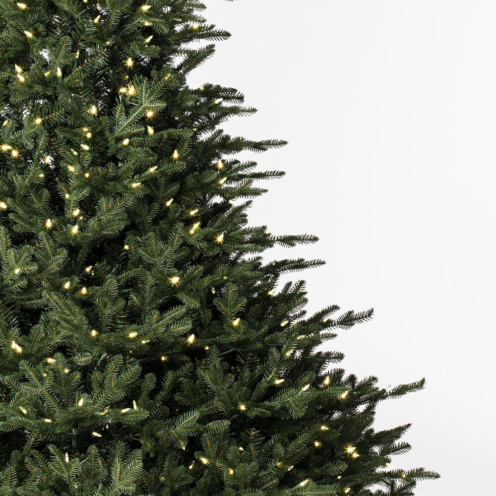 Bellevue Fraser Fir Artificial Christmas Tree with Warm White Mini Lights 9' x 78"