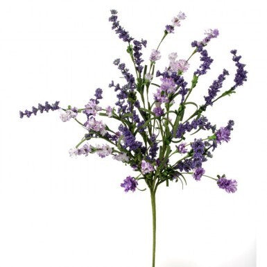 23" Clover Berry Bush | Lavender or Pink