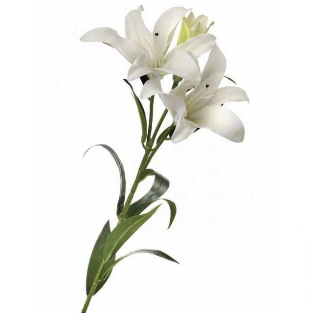 34" Natural Touch Lily Stem