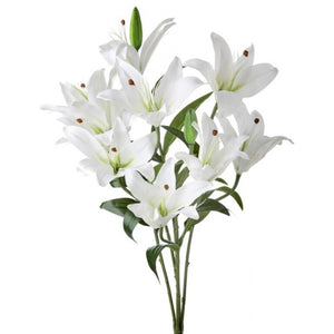 20" Natural Touch Rubrum Lily Plant