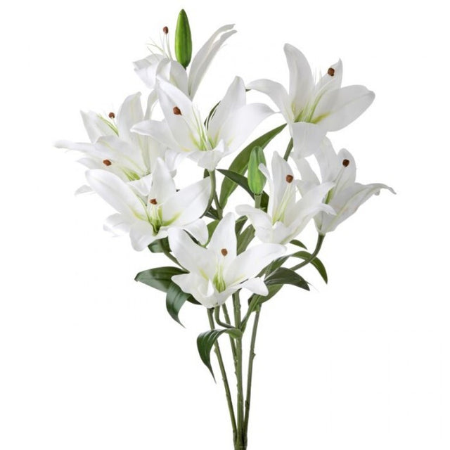 20" Natural Touch Rubrum Lily Plant