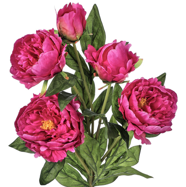 32" Deluxe Beauty Peony Spray