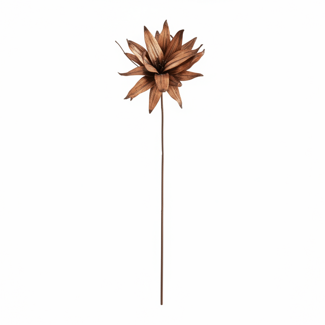 45" Brown Foam Moon Blossom Spray