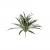 15" Dark Green Grass Bush