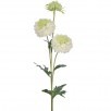 30" White Just Cut Triple Scabiosa