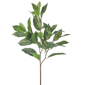 27" Lemon Leaf Spray