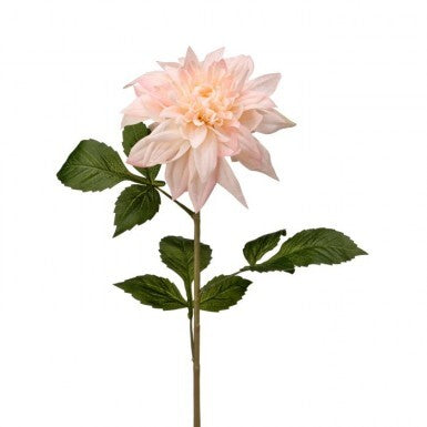 29" Blush Painted Dahlia Stem