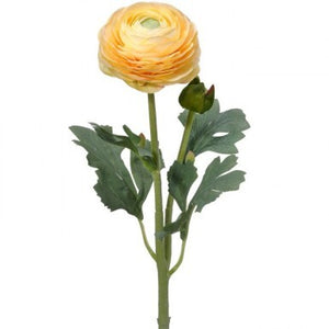 19" Ranunculus & Bud Stem | Butter Red White