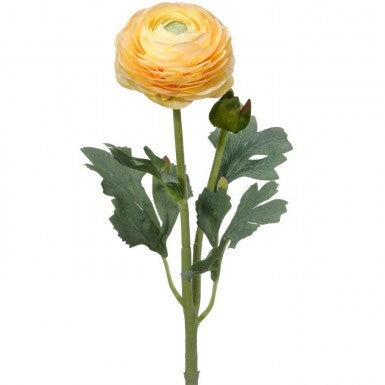 19" Ranunculus & Bud Stem | Butter Red White