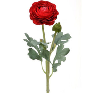 19" Ranunculus & Bud Stem | Butter Red White