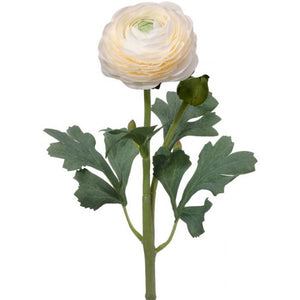 19" Ranunculus & Bud Stem | Butter Red White