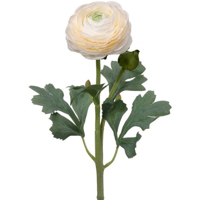 19" Ranunculus & Bud Stem | Butter Red White