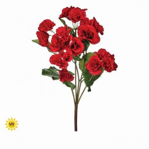 17" Summer Reiger Begonia Plant | UV Treated | Red or Yellow