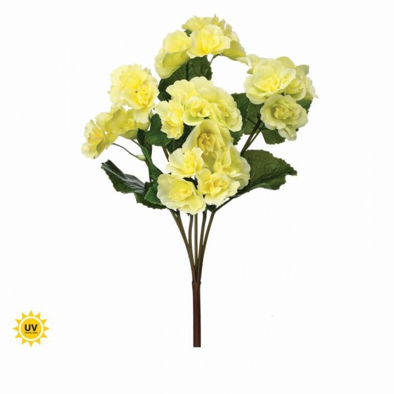 17" Summer Reiger Begonia Plant | UV Treated | Red or Yellow