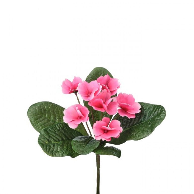 8" African Violet Plant | UV Treated | Lavender Pink Purple
