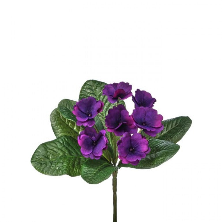 8" African Violet Plant | UV Treated | Lavender Pink Purple