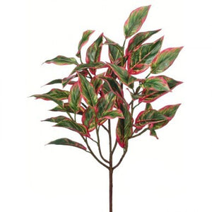 21" Cordyline Bush UV Protected