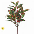 Cordyline Bush UV Protected, additional view