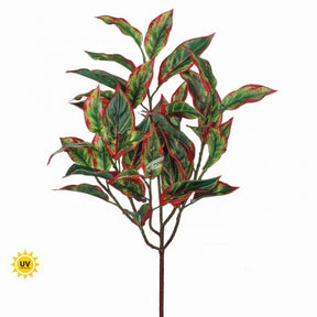 Cordyline Bush UV Protected, additional view