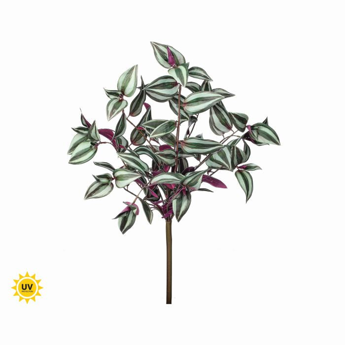 19" UV Tradescantia Bush