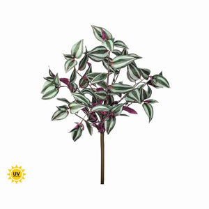 19" UV Tradescantia Bush
