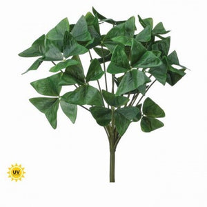15" Garden Oxalis Plant | UV Protected