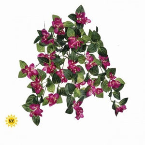 25" Hanging Magenta Bouganvilla Plant | UV Treated