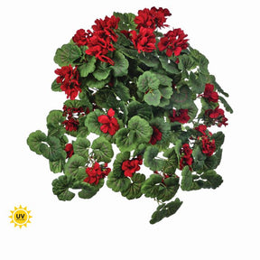 UV Hanging Geranium, Red or White, additional view