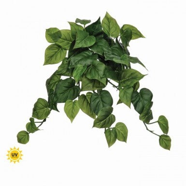 19" Philodendron Plant Bush UV Protected