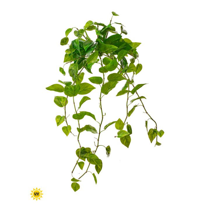 48" Hanging Pothos Plant | UV Natural Touch