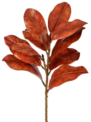 23" Autumnal Magnolia Spray