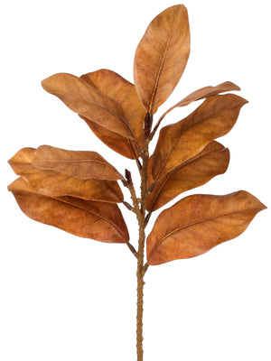 23" Autumnal Magnolia Spray