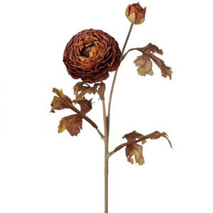 24" Autumn Ranunculus Stem | Cinnamon Spice, Cream, or Taupe