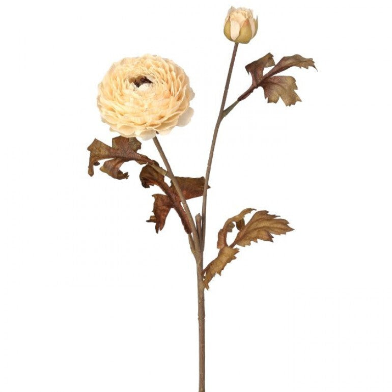 24" Autumn Ranunculus Stem | Cinnamon Spice, Cream, or Taupe