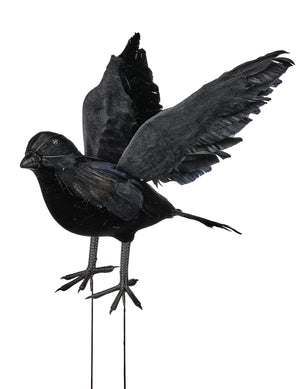 9" Open Wing Feather Black Crow