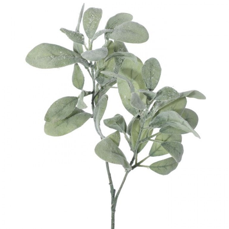 21" Frosted Lambs Ear Spray