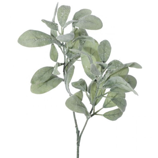 21" Frosted Lambs Ear Spray