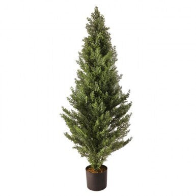 48" Potted Arborvitae Tree | UV Protected