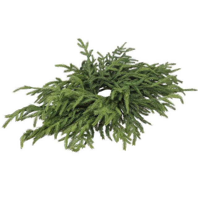 24" Norfolk Pine Centerpiece