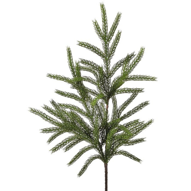 36" Real Touch Forest Norfolk Pine Spray