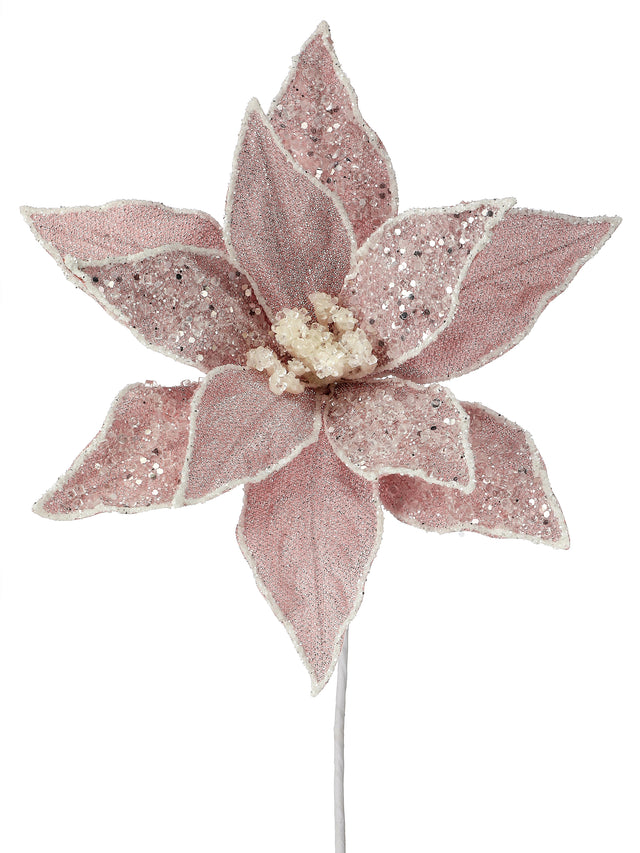 22" Blush Pink Sugared Dessert Poinsettia Stem