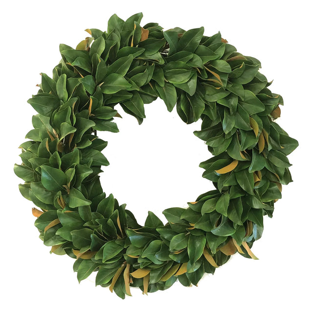 36" Magnolia Leaf Wreath