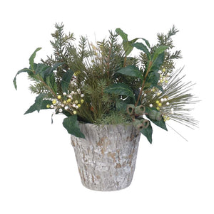 Pine Berry in pot arrangement 15”