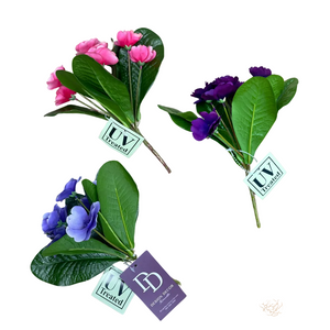8" African Violet Plant | UV Treated | Lavender Pink Purple